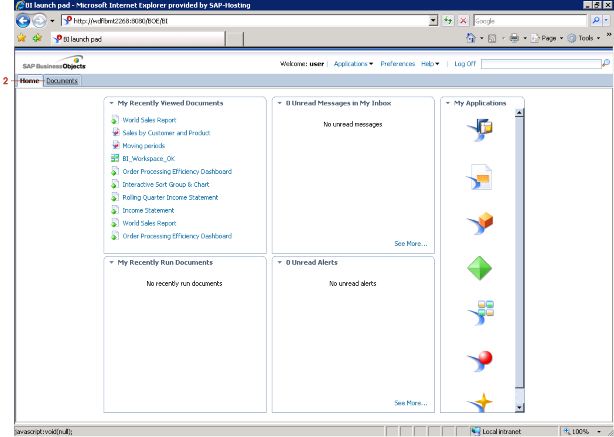 BI launch pad - Microsoft Internet Explorer provided by SAP-Hosting