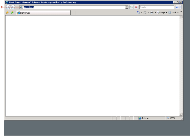 Blank Page - Microsoft Internet Explorer provided by SAP-Hosting