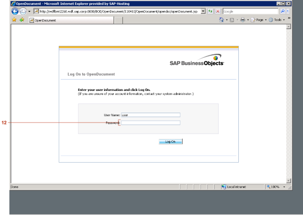 OpenDocument - Microsoft Internet Explorer provided by SAP-Hosting
